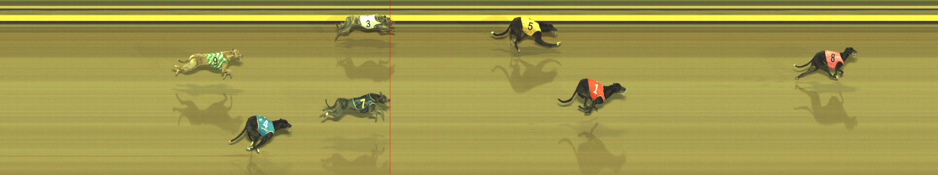 Photo finish for Geelong Race 10