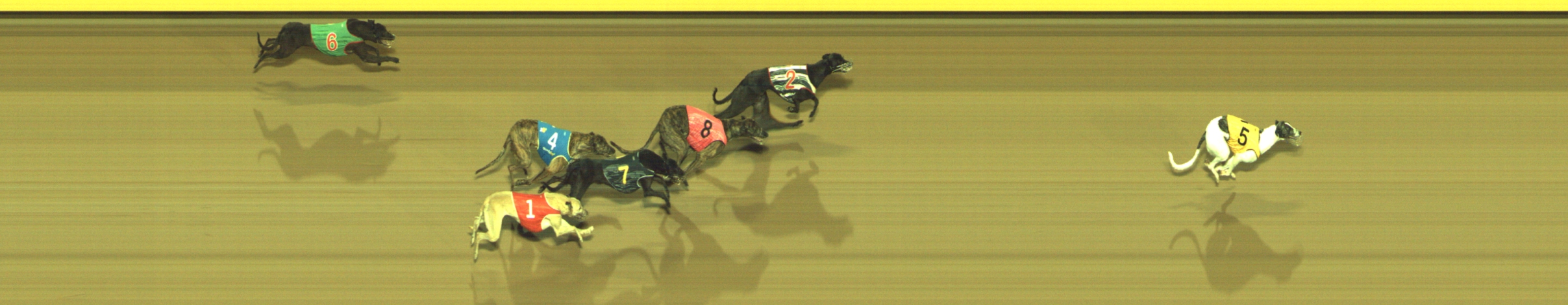 Photo finish for Geelong Race 11