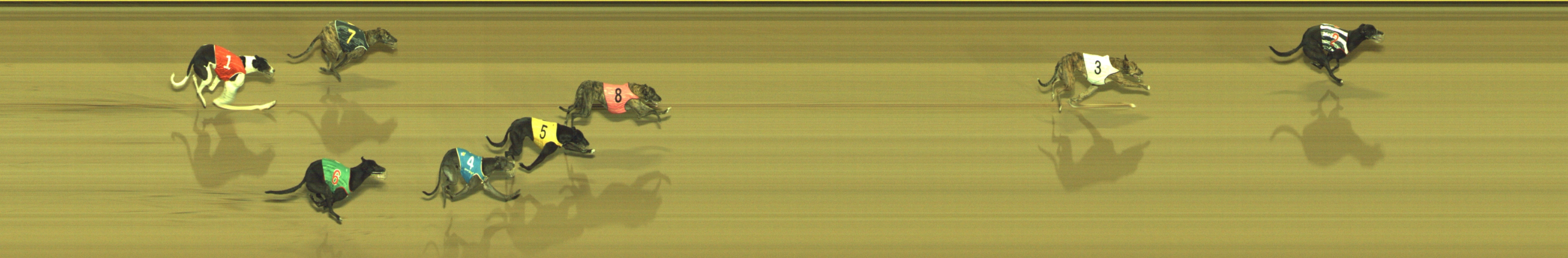 Photo finish for Geelong Race 12