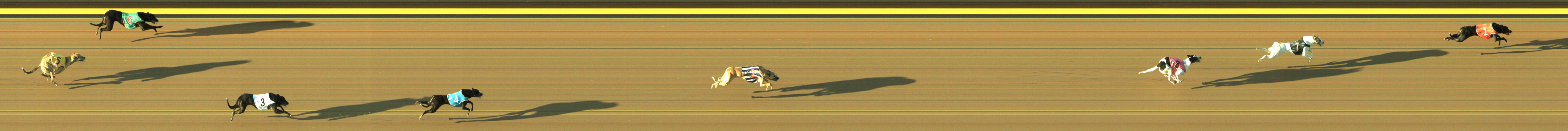 Photo finish for Geelong Race 2