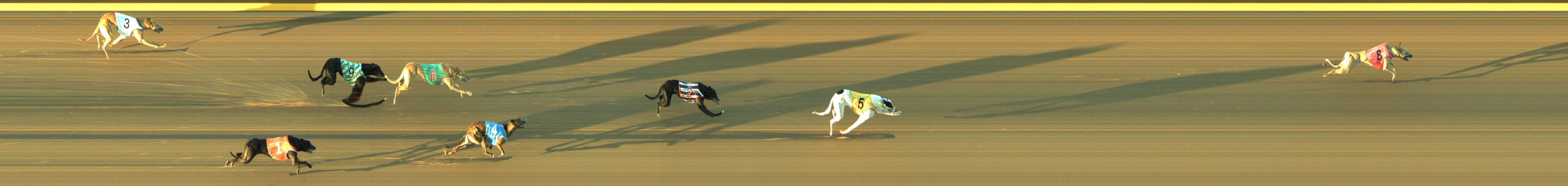 Photo finish for Geelong Race 3
