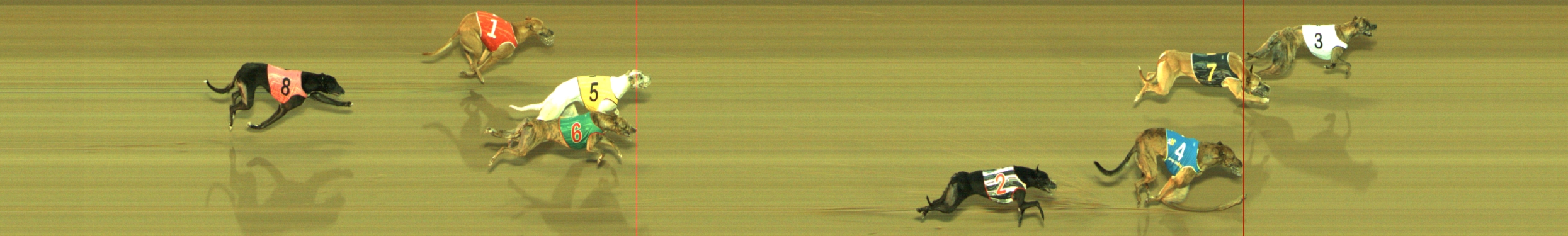 Photo finish for Geelong Race 4