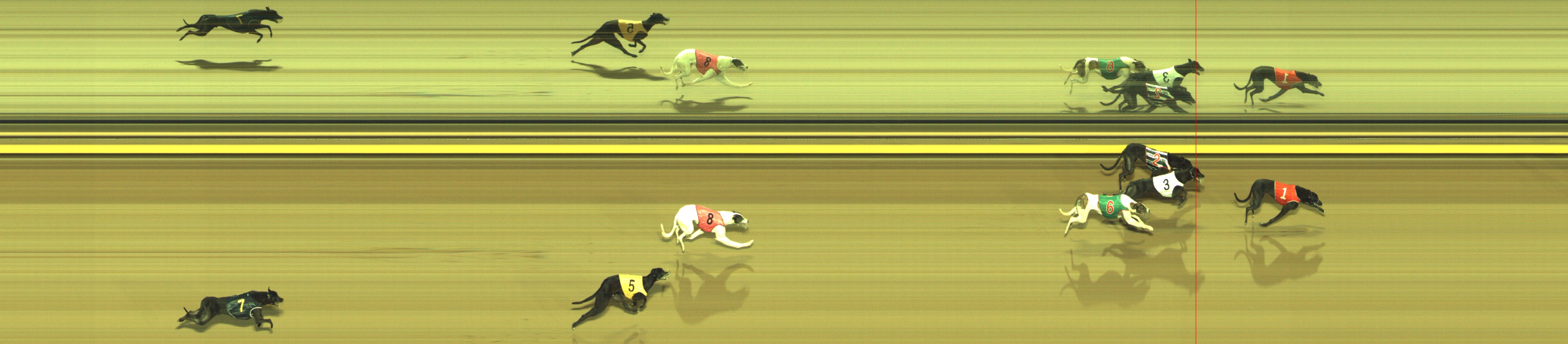 Photo finish for Geelong Race 5