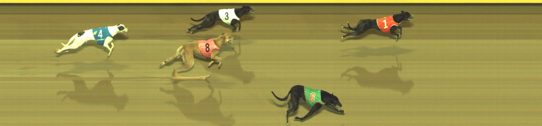 Photo finish for Geelong Race 6
