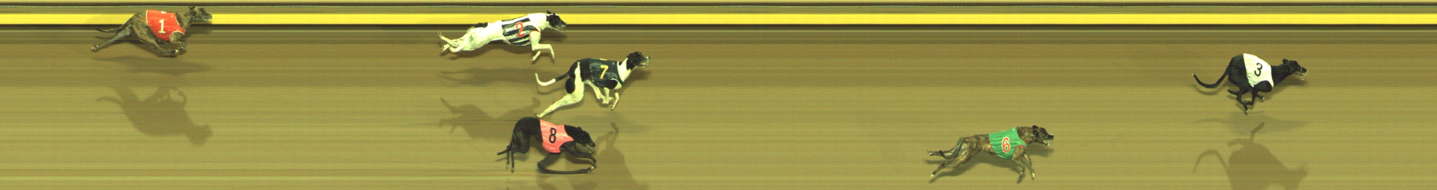 Photo finish for Geelong Race 7