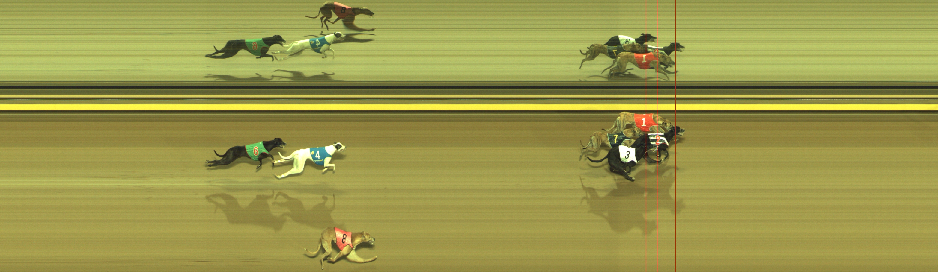 Photo finish for Geelong Race 8