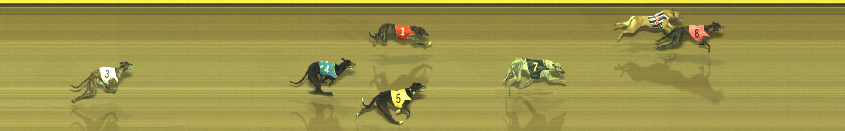 Photo finish for Geelong Race 9