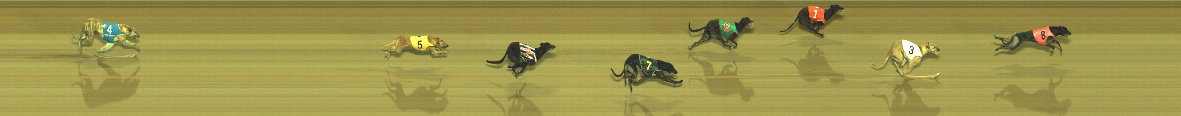 Photo finish for Geelong Race 10