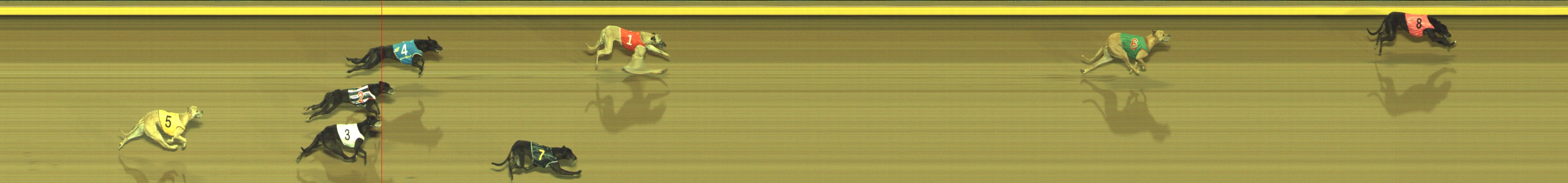 Photo finish for Geelong Race 11