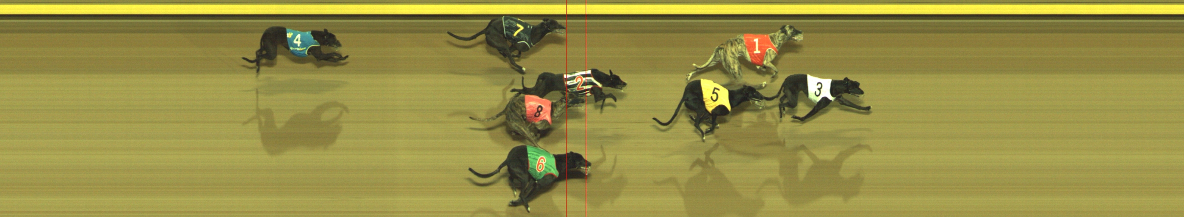 Photo finish for Geelong Race 12
