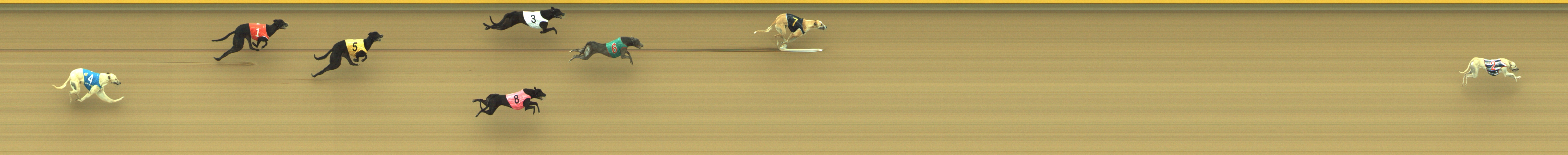 Photo finish for Geelong Race 2