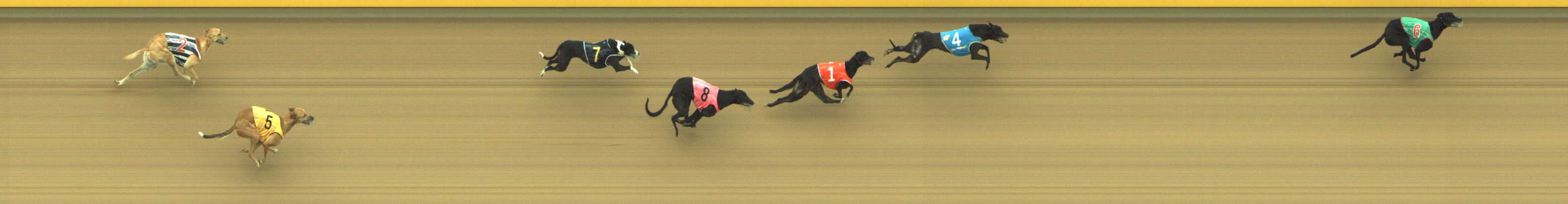 Photo finish for Geelong Race 3