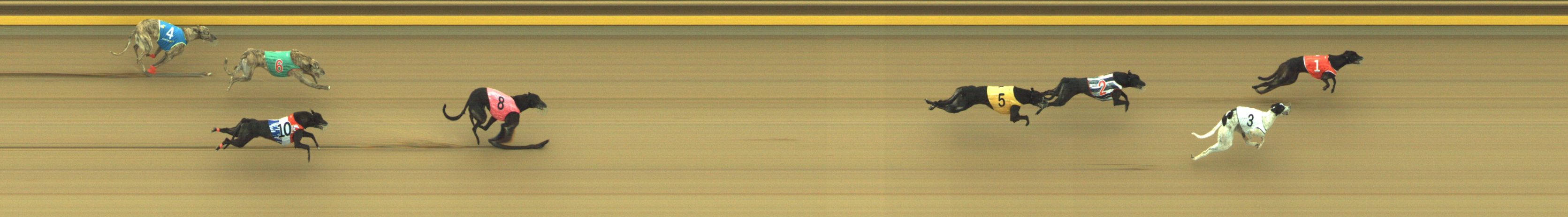 Photo finish for Geelong Race 4
