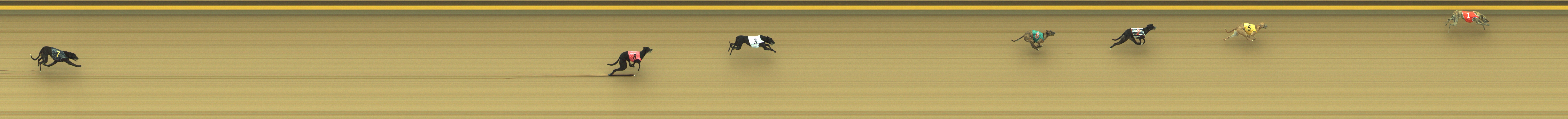 Photo finish for Geelong Race 5