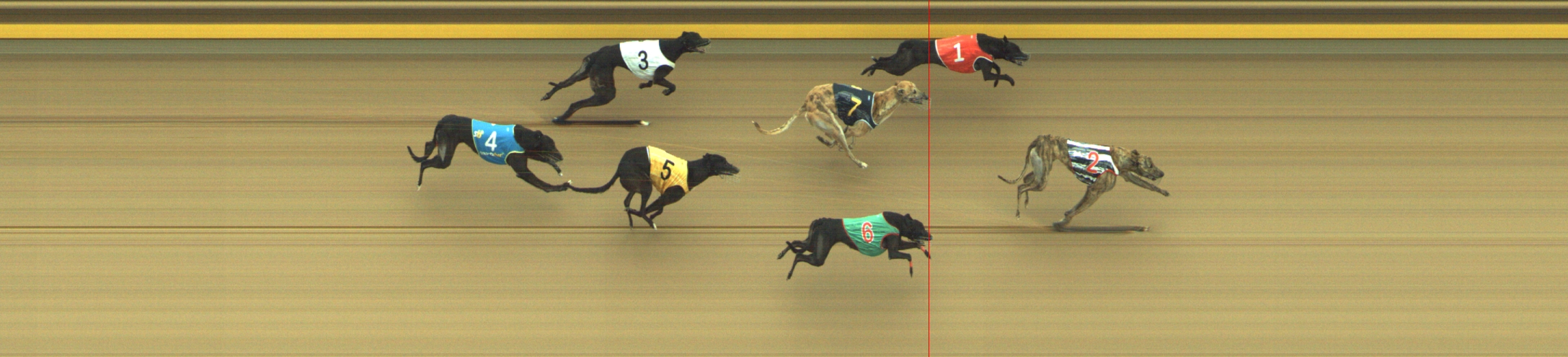 Photo finish for Geelong Race 6