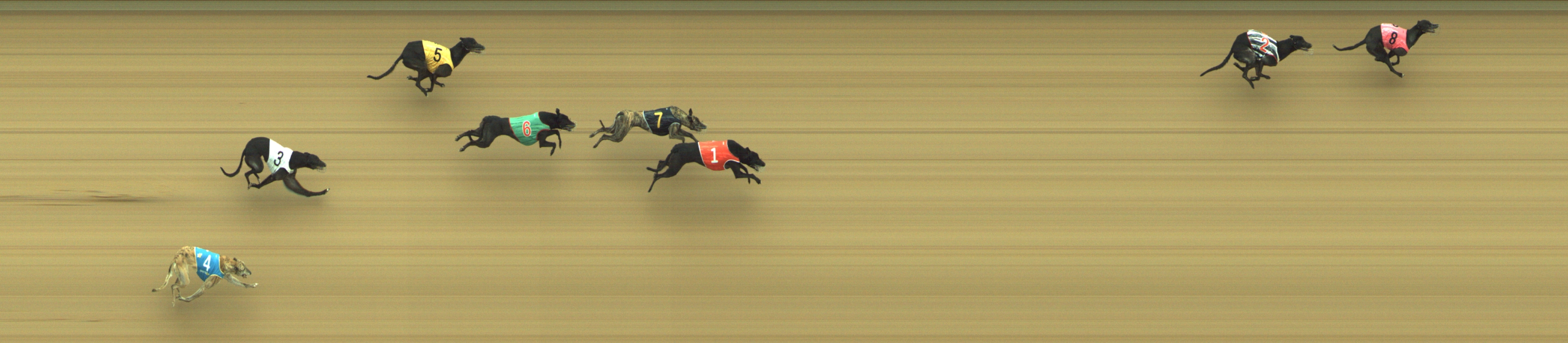 Photo finish for Geelong Race 7