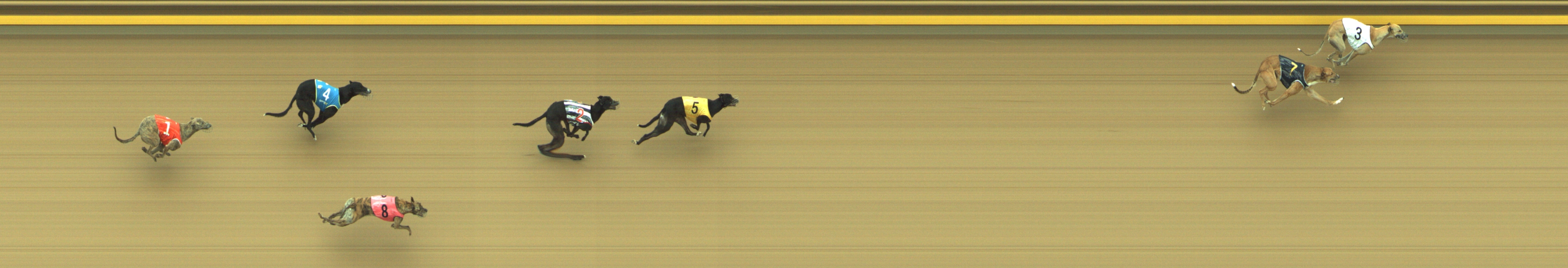 Photo finish for Geelong Race 8