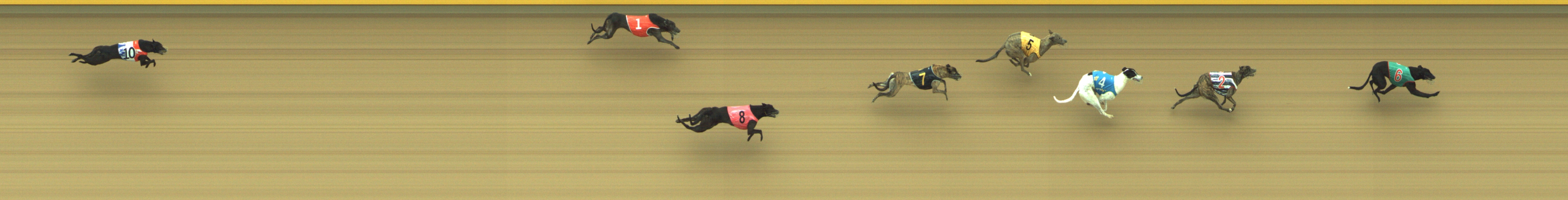Photo finish for Geelong Race 9
