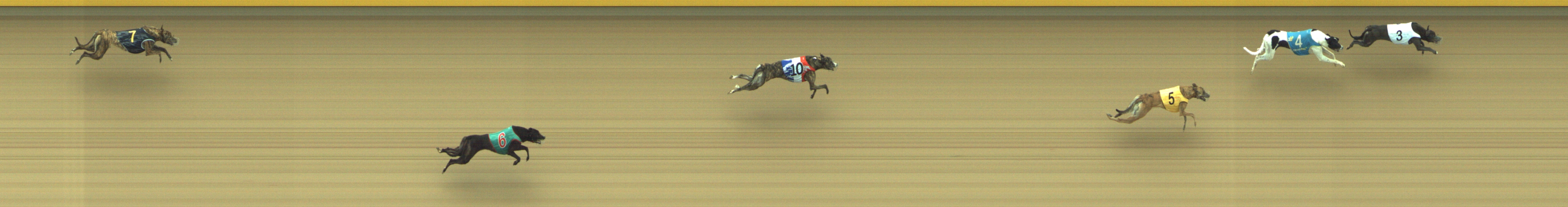 Photo finish for Geelong Race 10
