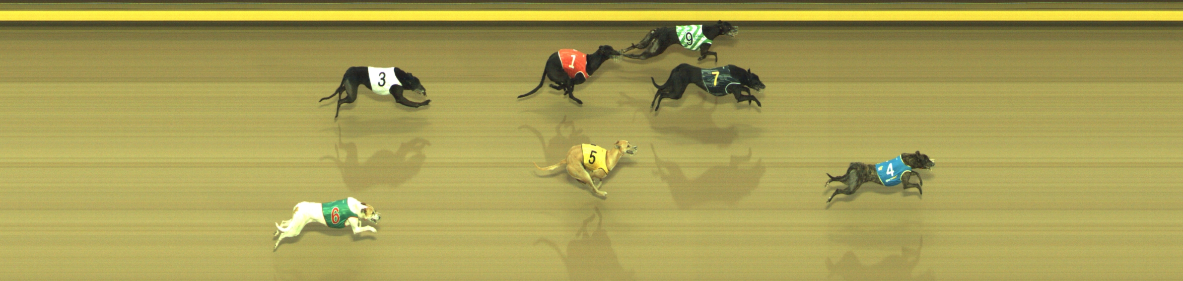 Photo finish for Geelong Race 11