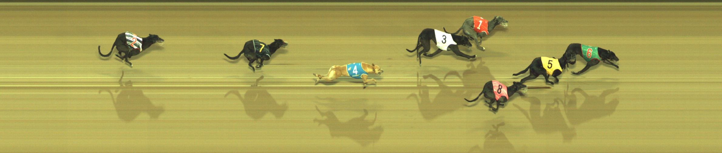 Photo finish for Geelong Race 12