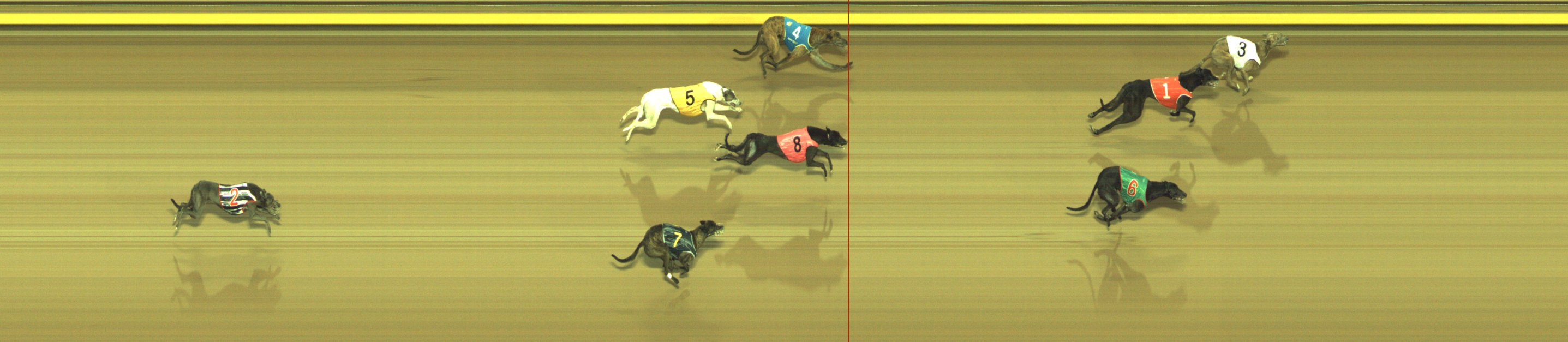 Photo finish for Geelong Race 13