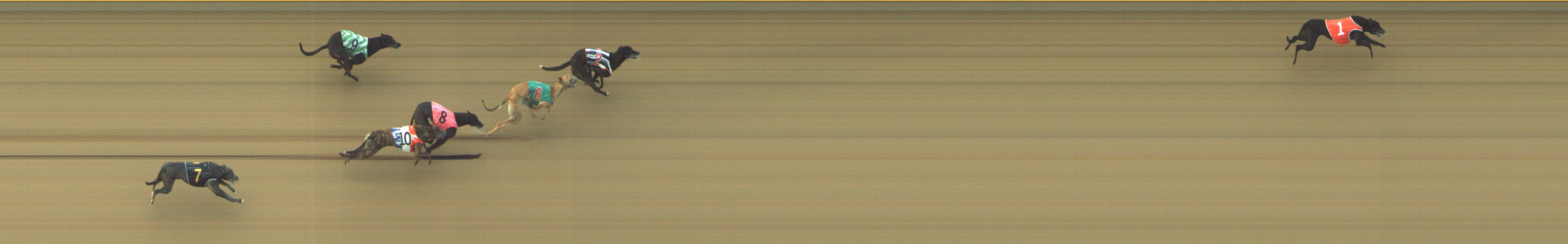 Photo finish for Geelong Race 1