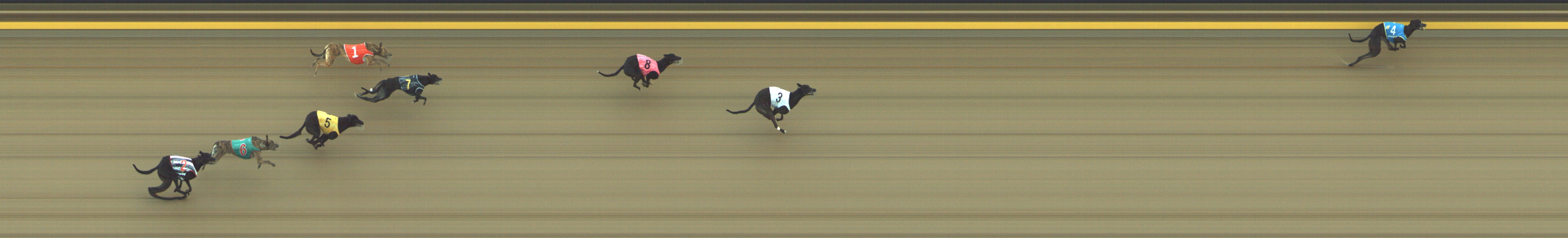 Photo finish for Geelong Race 2