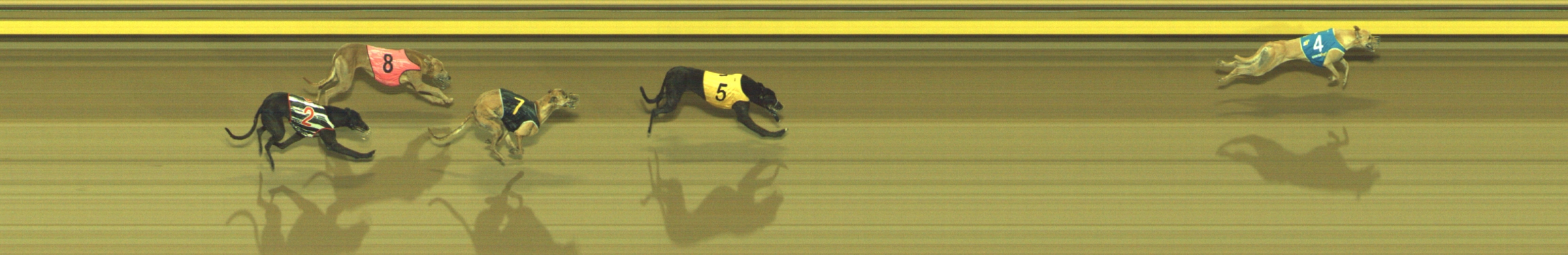 Photo finish for Geelong Race 3