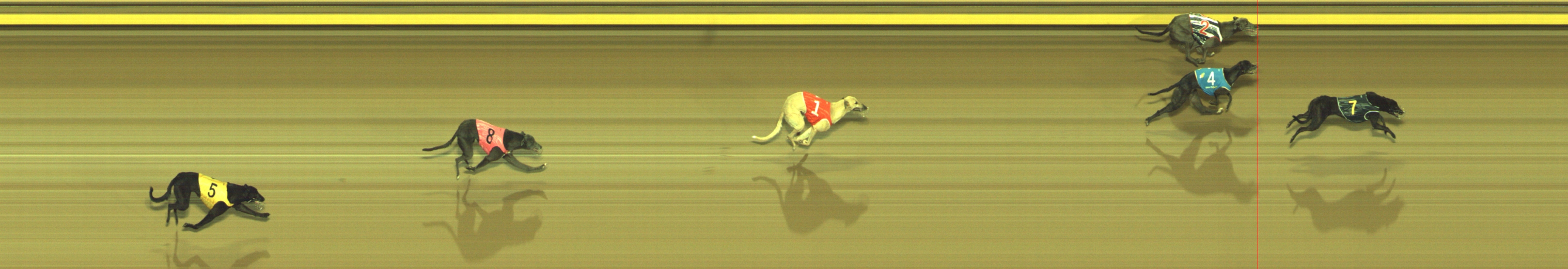 Photo finish for Geelong Race 4