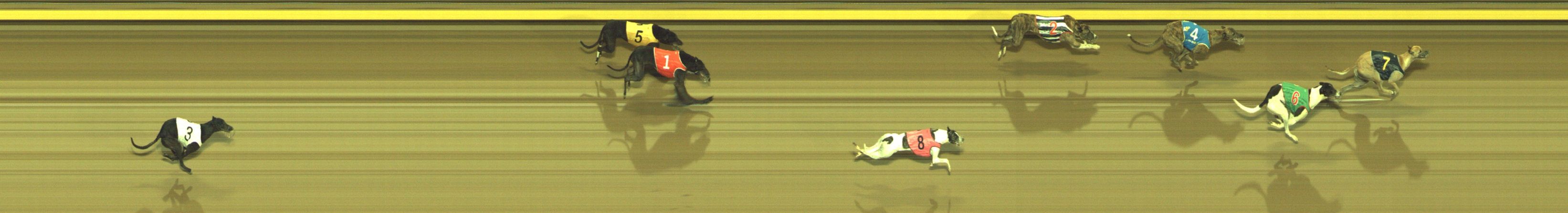 Photo finish for Geelong Race 5