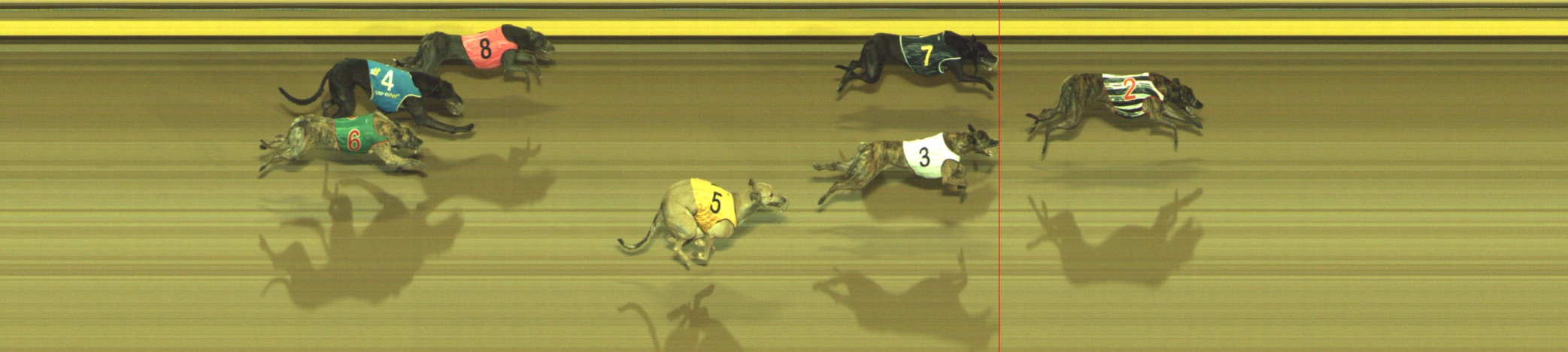 Photo finish for Geelong Race 6