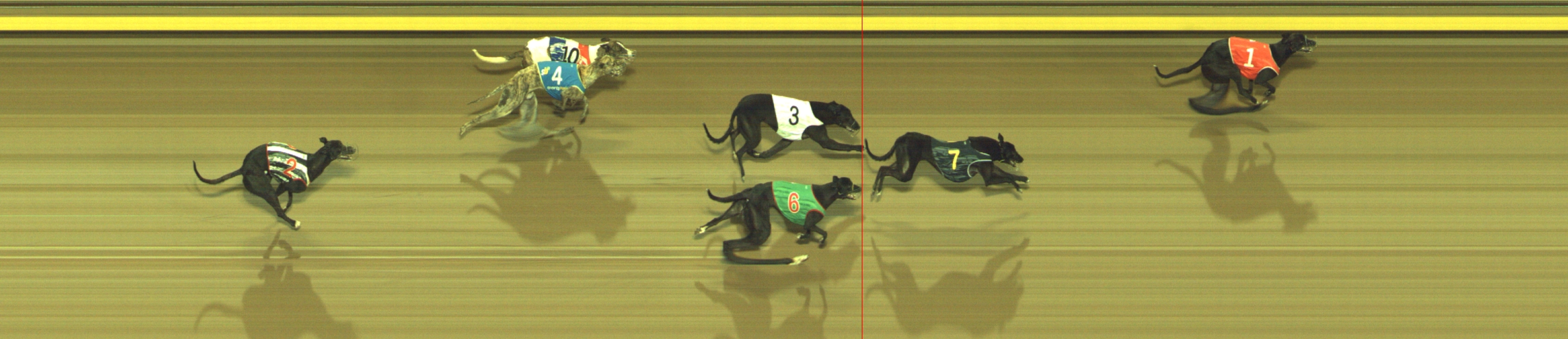 Photo finish for Geelong Race 7