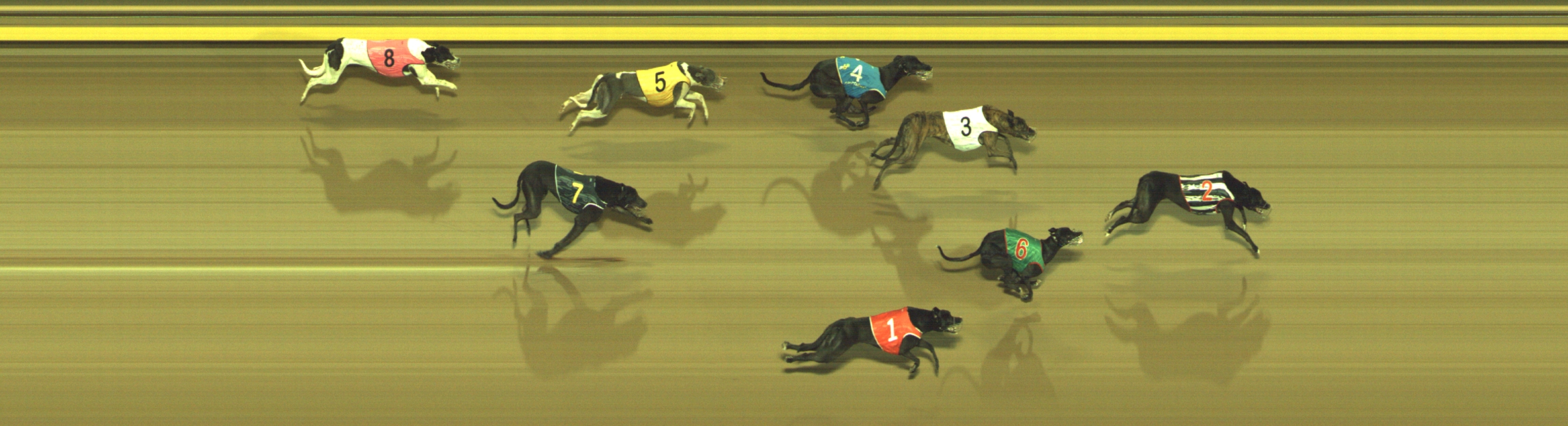 Photo finish for Geelong Race 8