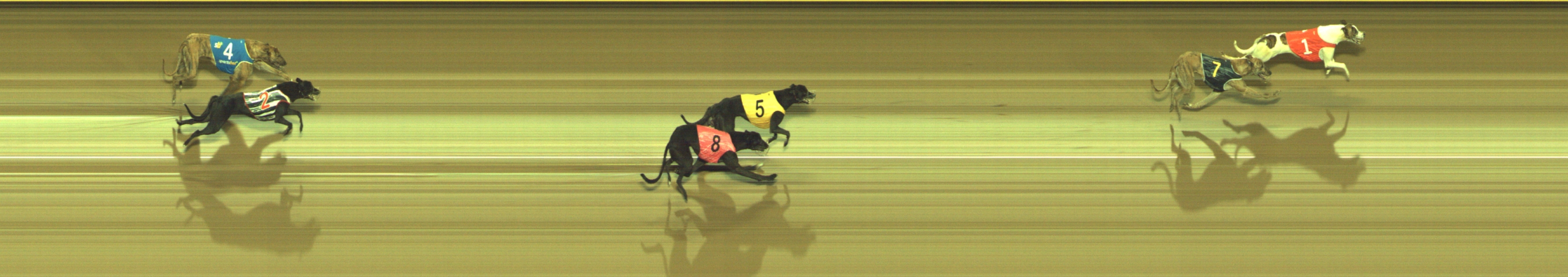 Photo finish for Geelong Race 9