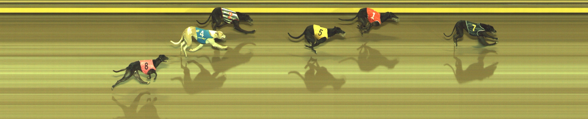 Photo finish for Geelong Race 10