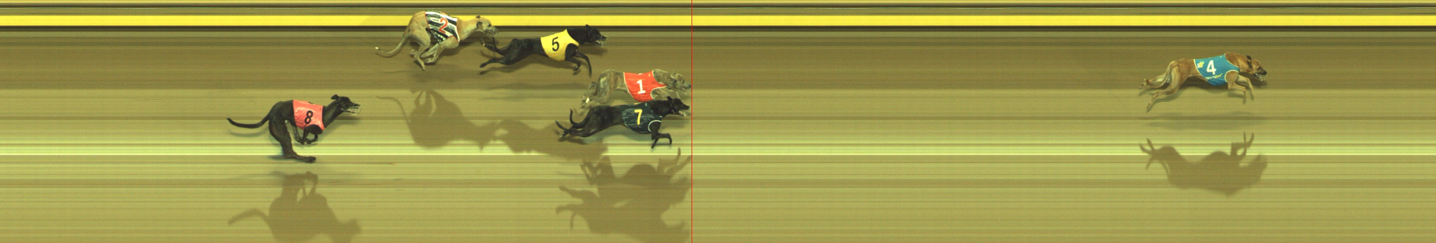 Photo finish for Geelong Race 11