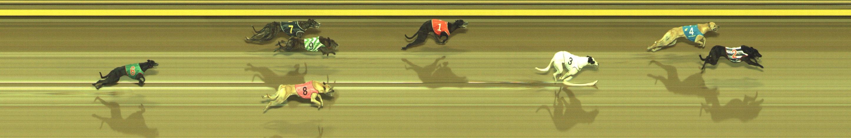 Photo finish for Geelong Race 12