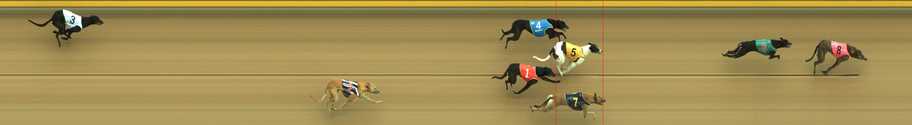 Photo finish for Geelong Race 1