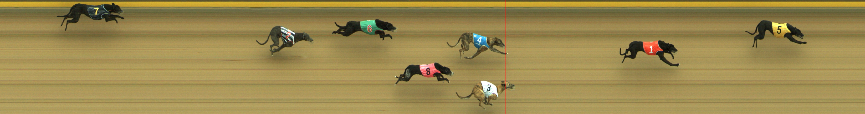 Photo finish for Geelong Race 2