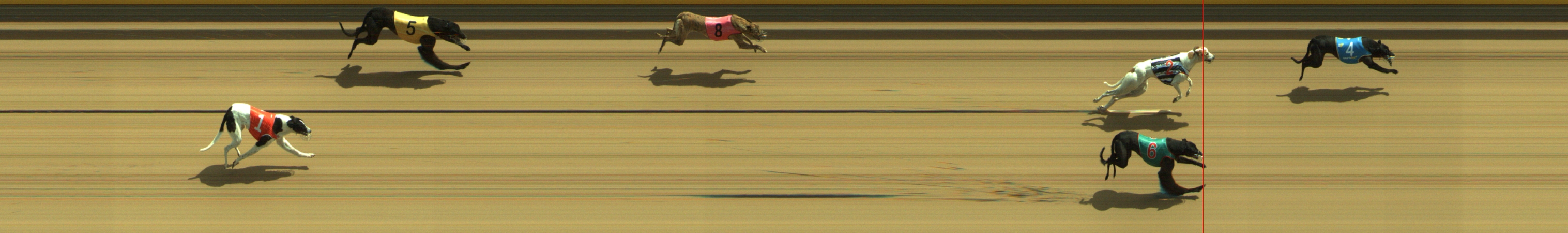 Photo finish for Geelong Race 3