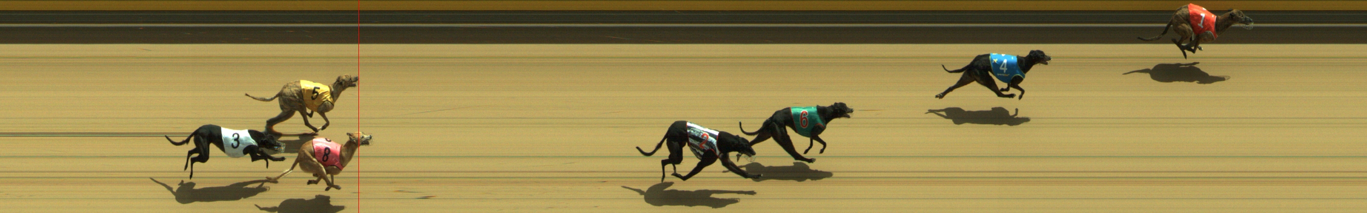 Photo finish for Geelong Race 4