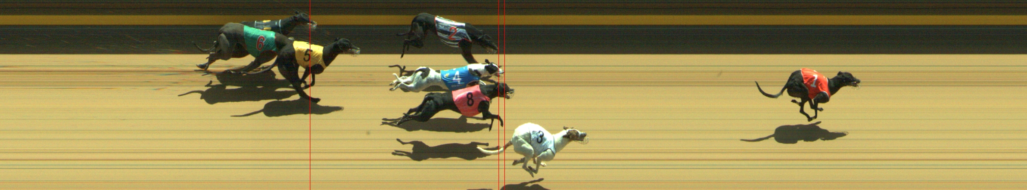 Photo finish for Geelong Race 6