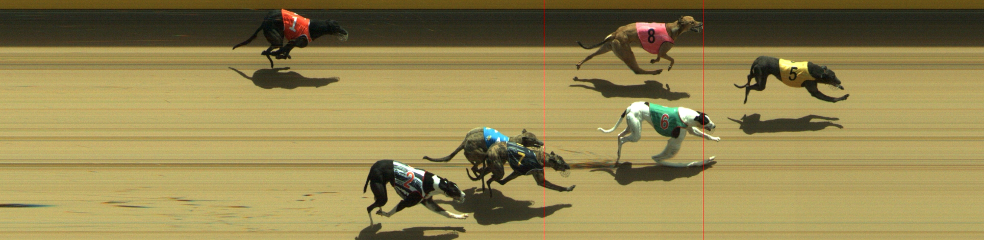 Photo finish for Geelong Race 7