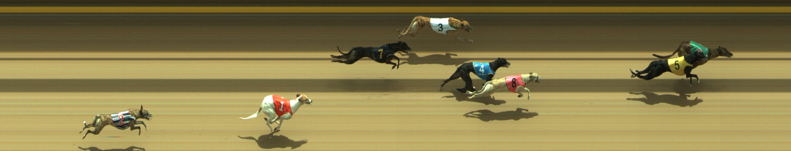 Photo finish for Geelong Race 8