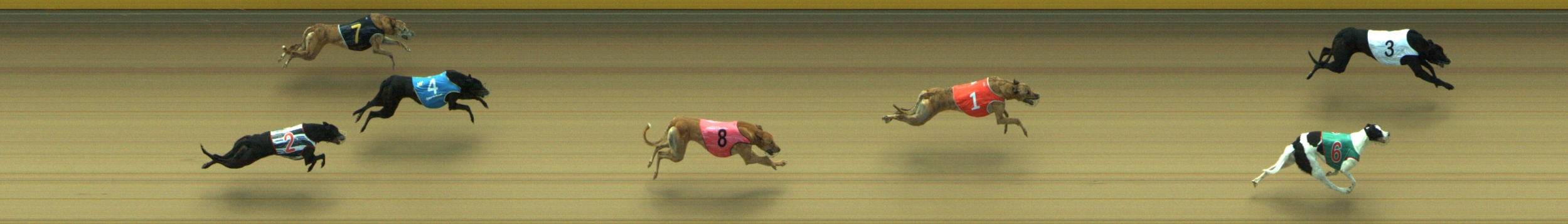 Photo finish for Geelong Race 9