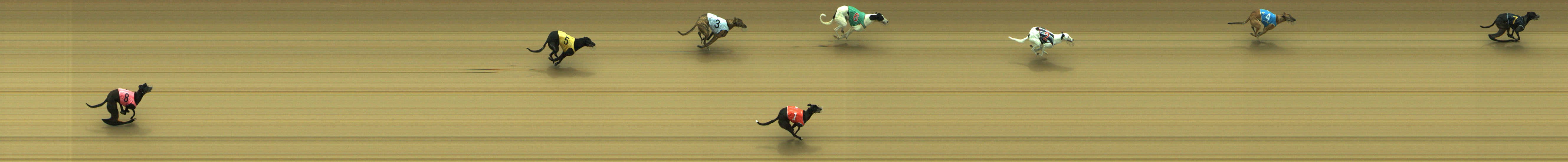 Photo finish for Geelong Race 10