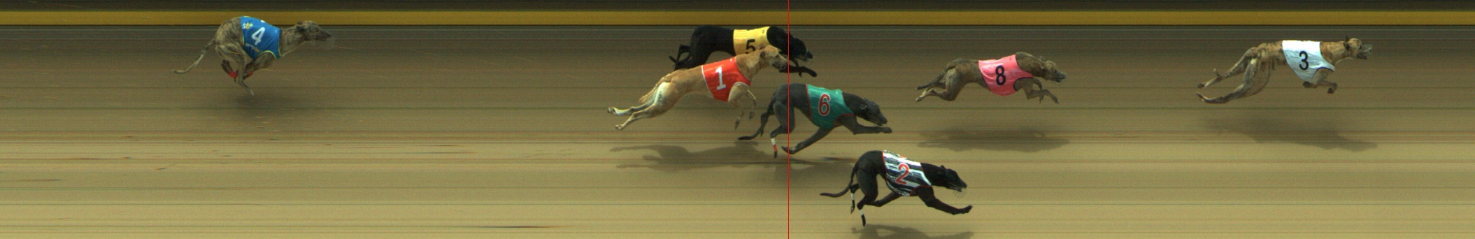 Photo finish for Geelong Race 11