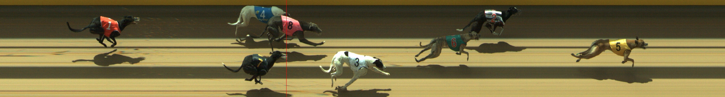 Photo finish for Geelong Race 12