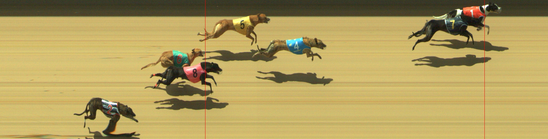 Photo finish for Geelong Race 13